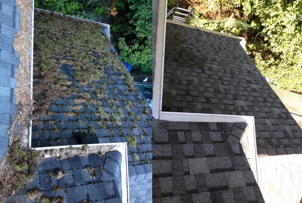 Roof de-mossed and treated by Mr. Sparkle in Nanaimo